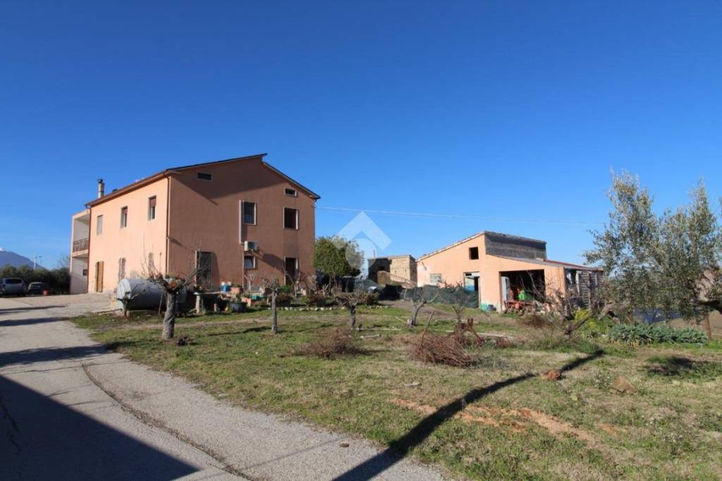 immagine annuncio 1 di 14