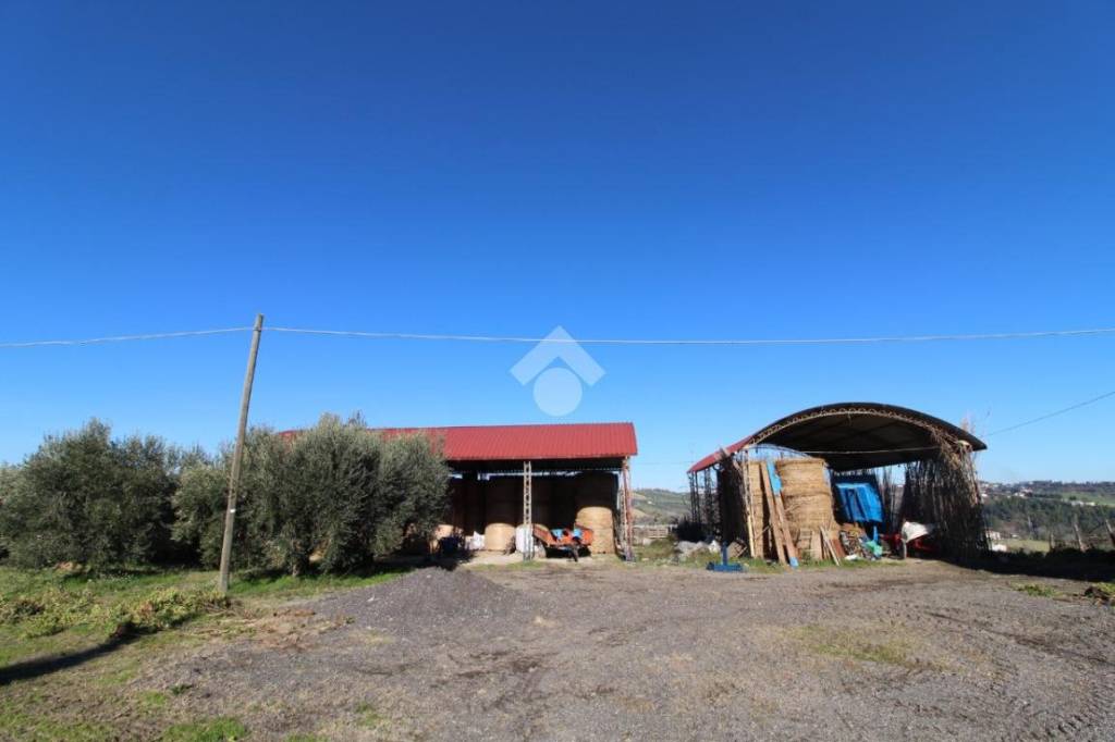 immagine annuncio 2 di 14