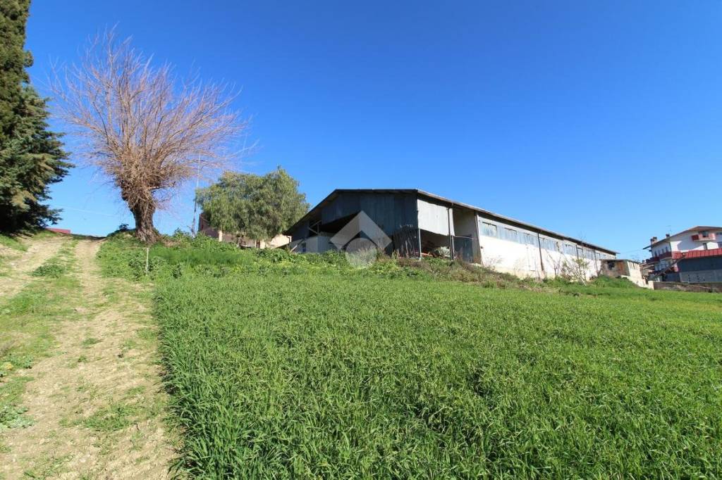 immagine annuncio 3 di 14