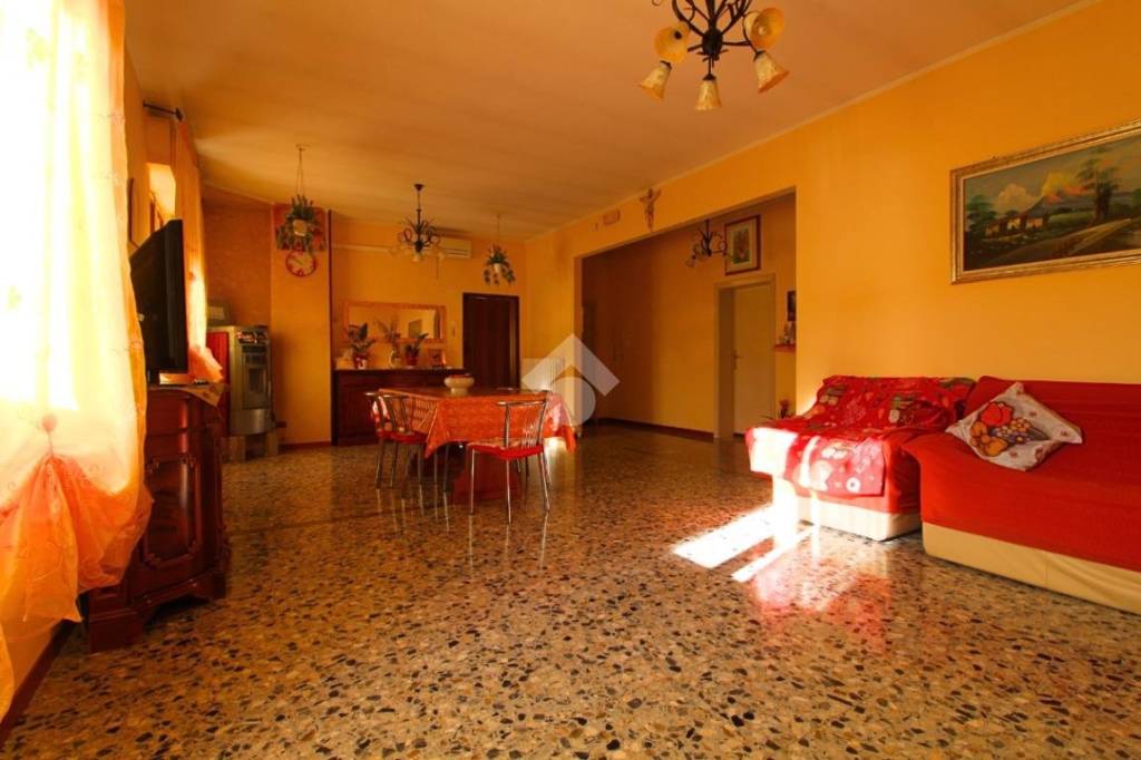 immagine annuncio 5 di 14