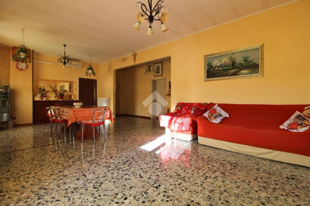 immagine annuncio 6 di 14