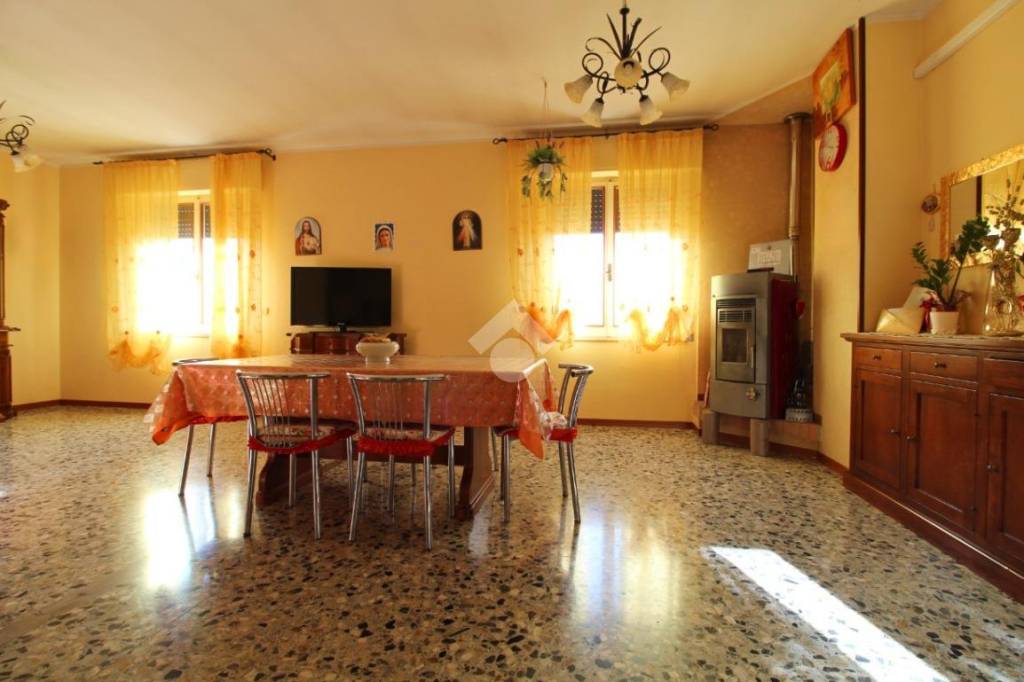 immagine annuncio 9 di 14