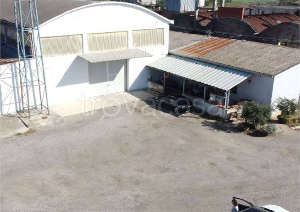 immagine annuncio 2 di 6