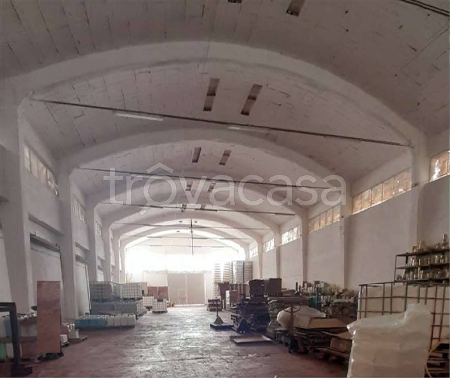 immagine annuncio 4 di 6