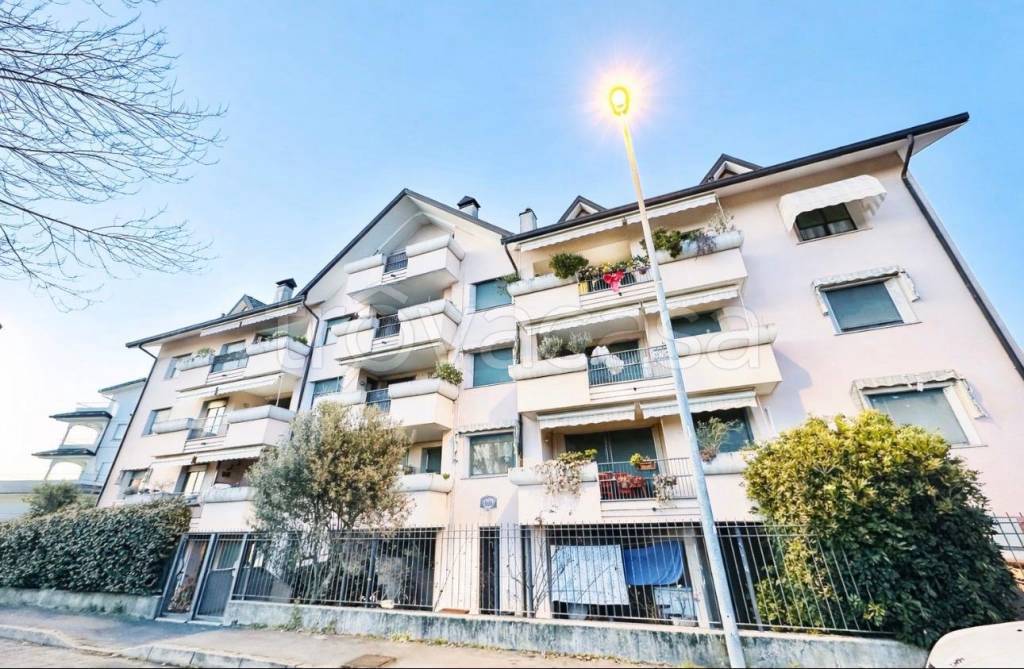 immagine annuncio 12 di 13