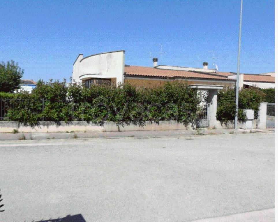 immagine annuncio 7 di 11