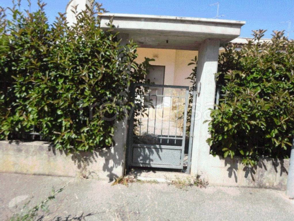 immagine annuncio 9 di 11