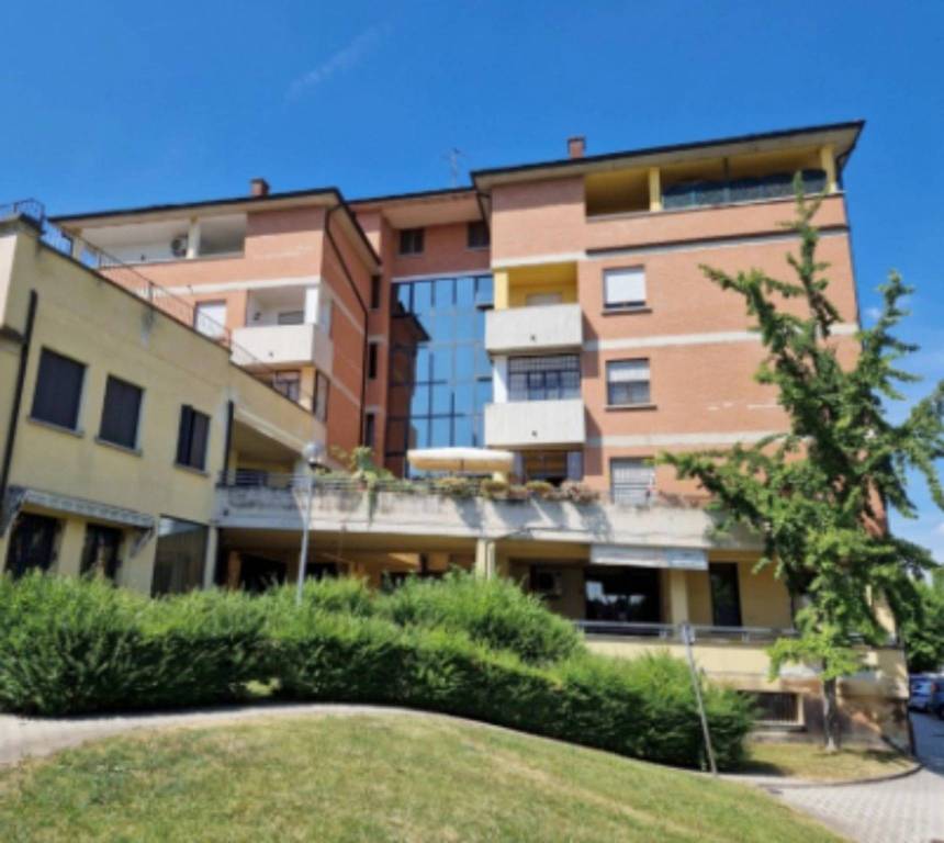 immagine annuncio 1 di 12