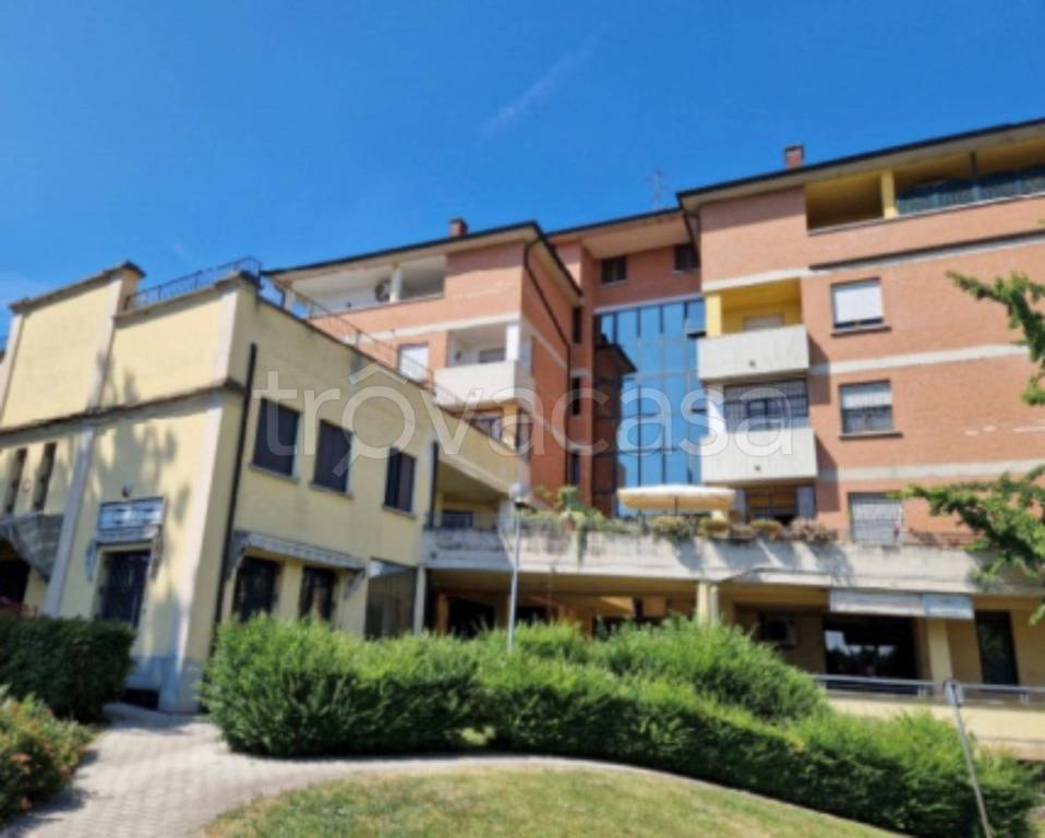 immagine annuncio 2 di 12