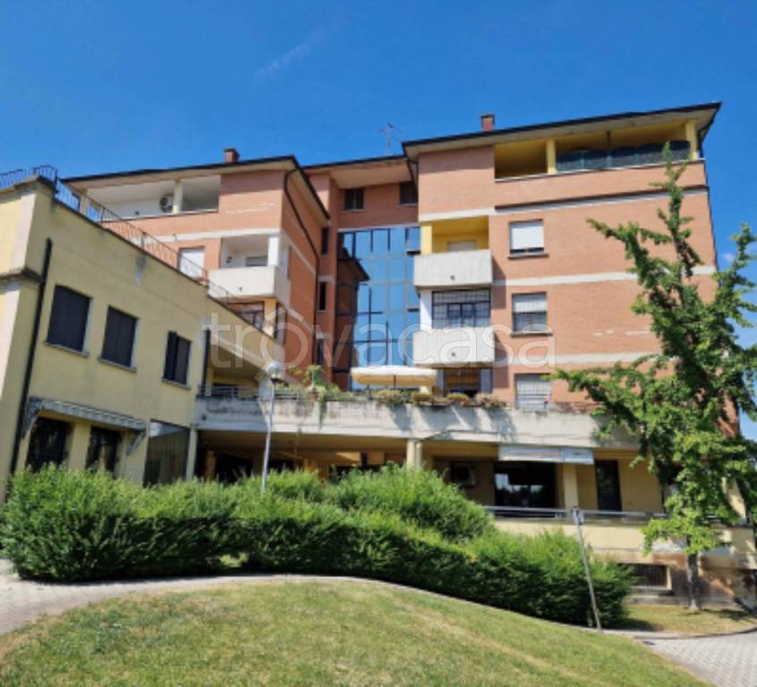 immagine annuncio 4 di 12