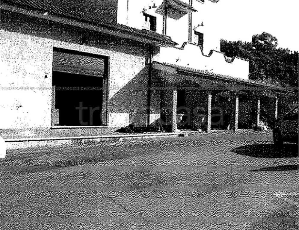 immagine annuncio 2 di 6