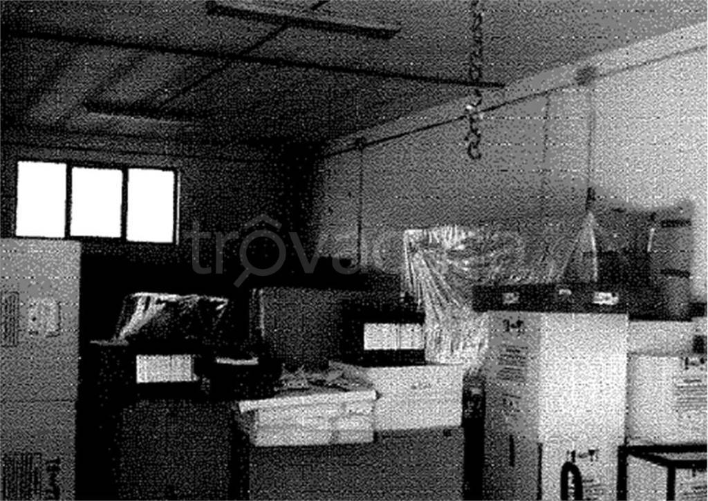 immagine annuncio 3 di 6