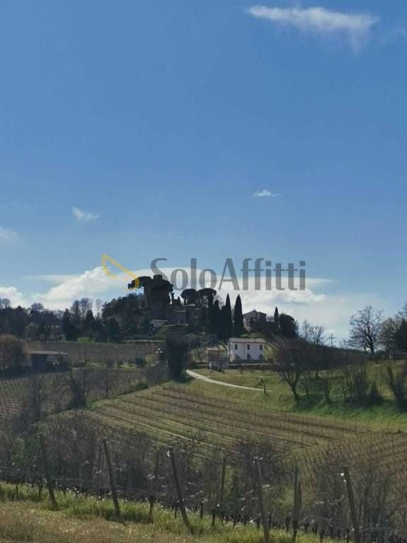 immagine annuncio 3 di 7