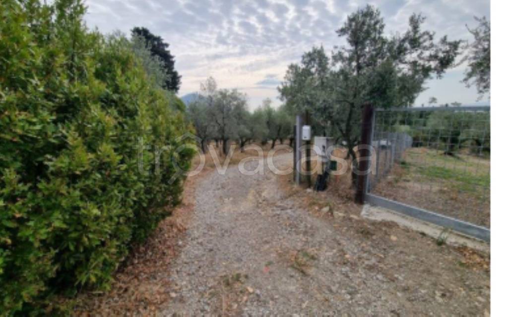 immagine annuncio 3 di 12