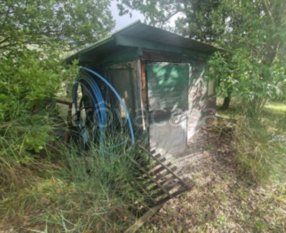 immagine annuncio 6 di 12