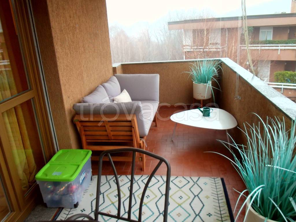 immagine annuncio 6 di 15