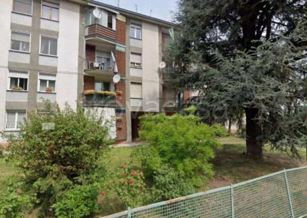 immagine annuncio 2 di 12