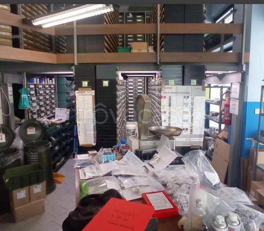 immagine annuncio 5 di 12