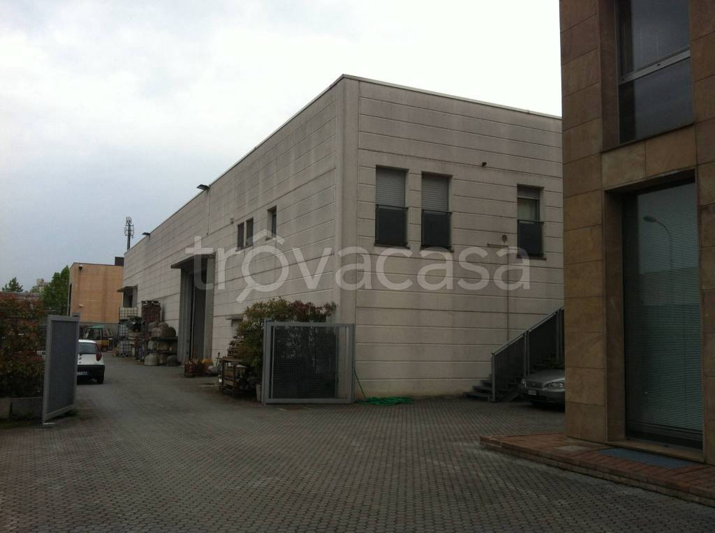 immagine annuncio 4 di 15