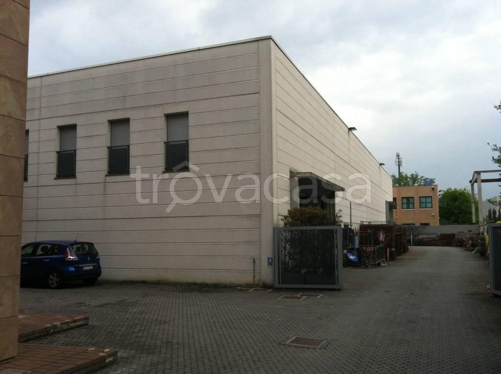 immagine annuncio 7 di 15