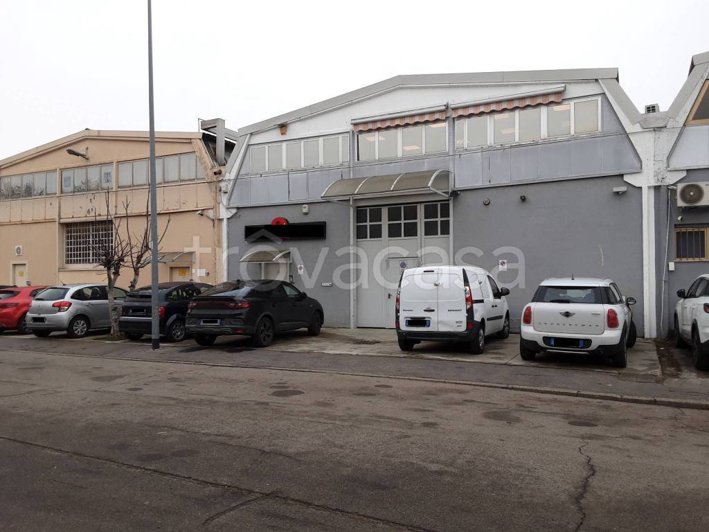 immagine annuncio 2 di 15