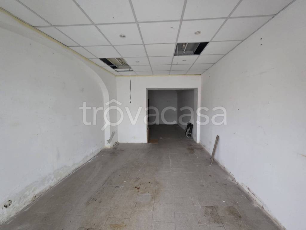 immagine annuncio 2 di 6