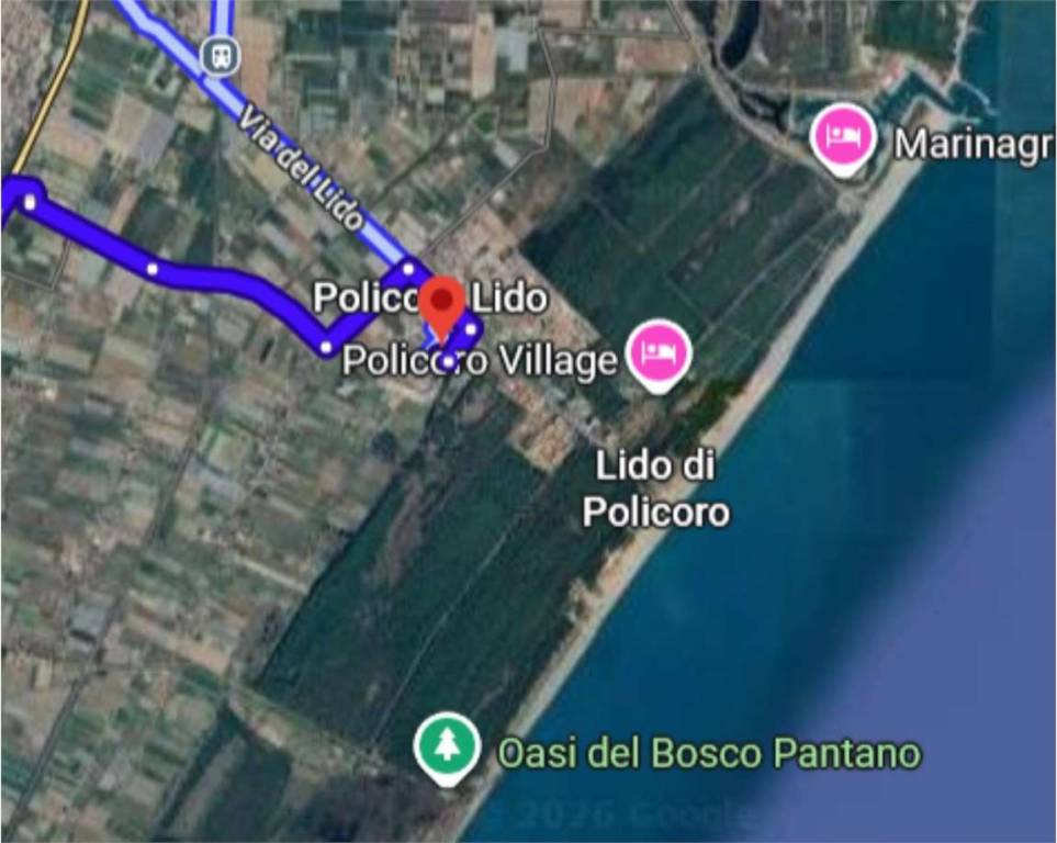 immagine annuncio 12 di 15