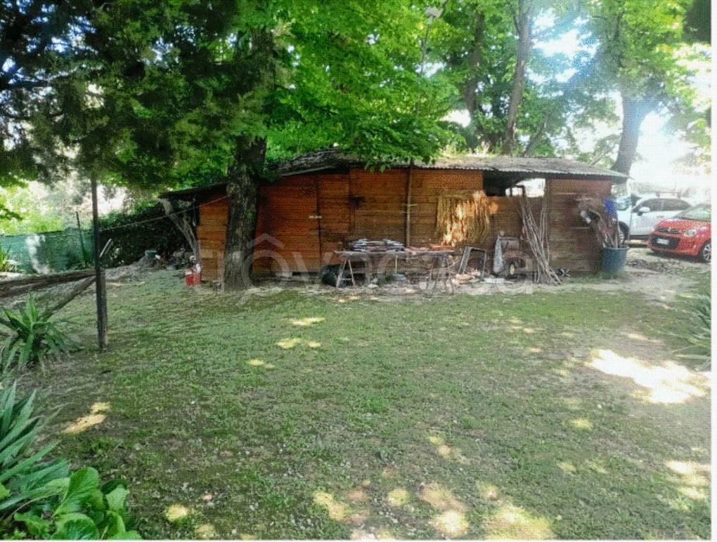 immagine annuncio 3 di 12