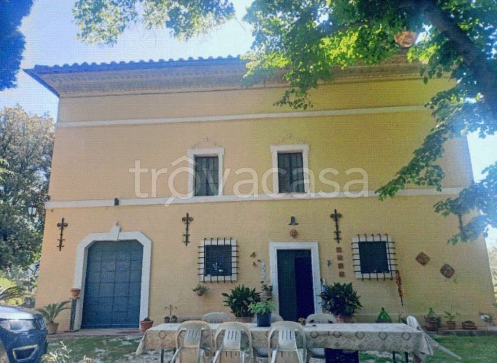 immagine annuncio 7 di 12