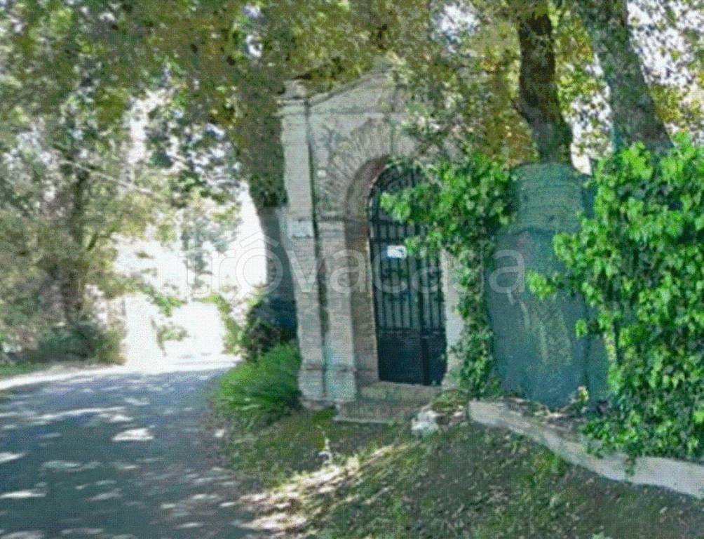 immagine annuncio 9 di 12