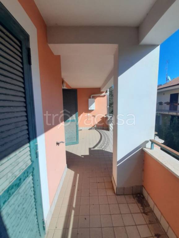 immagine annuncio 2 di 11