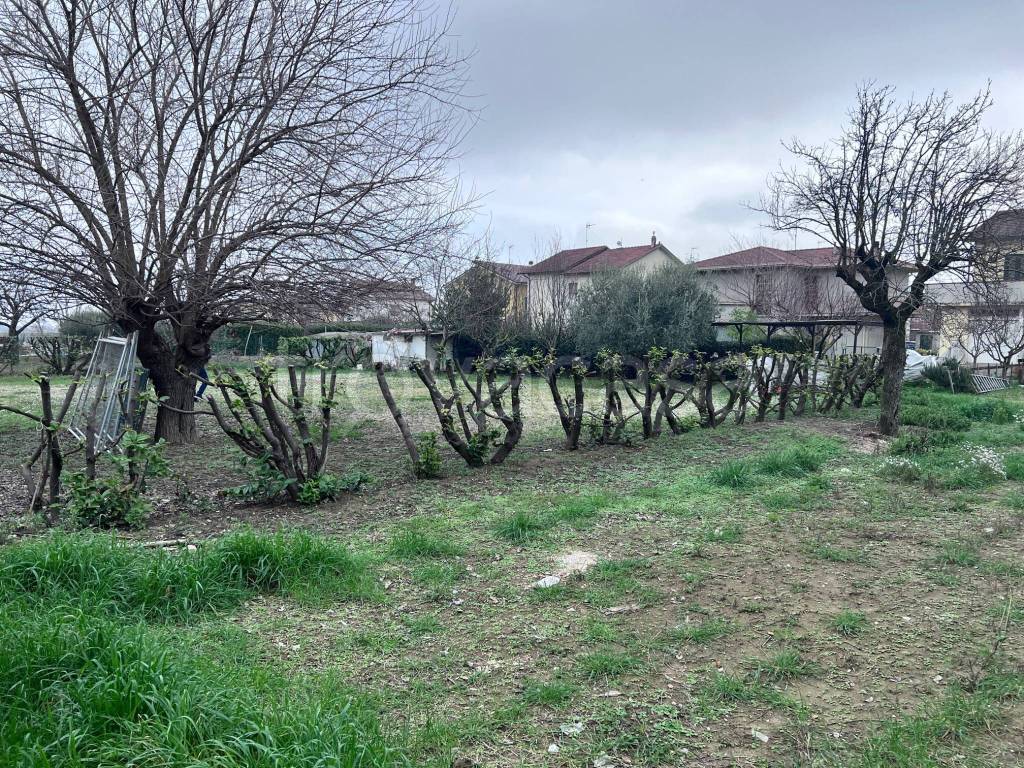 immagine annuncio 1 di 6