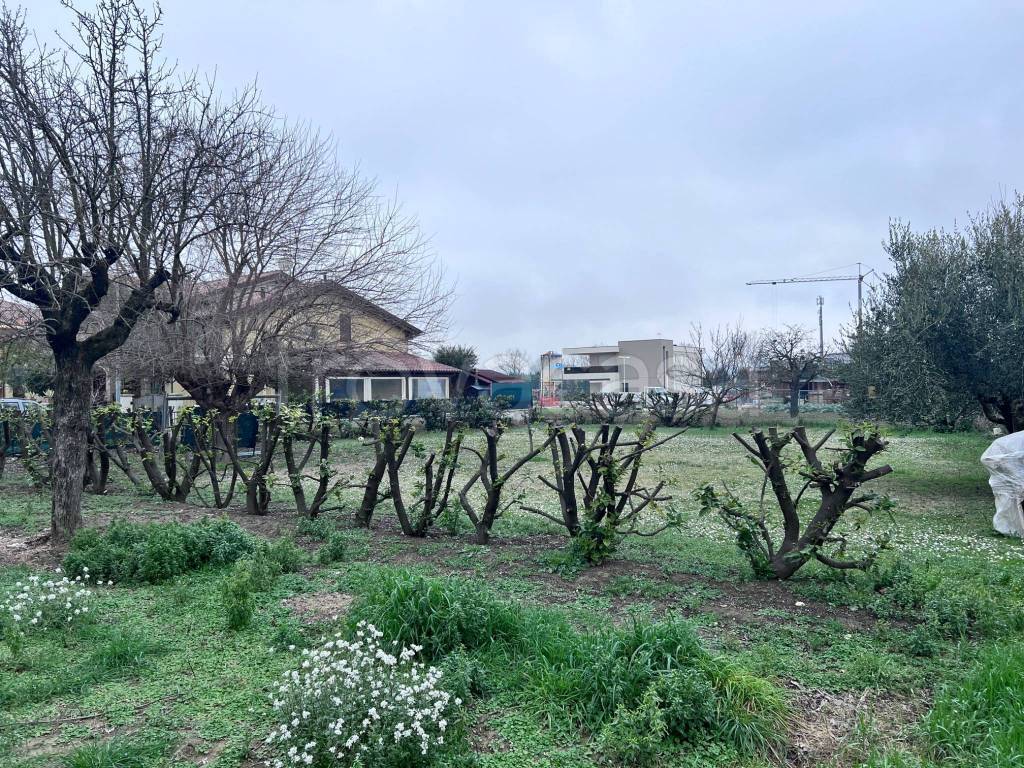 immagine annuncio 3 di 6