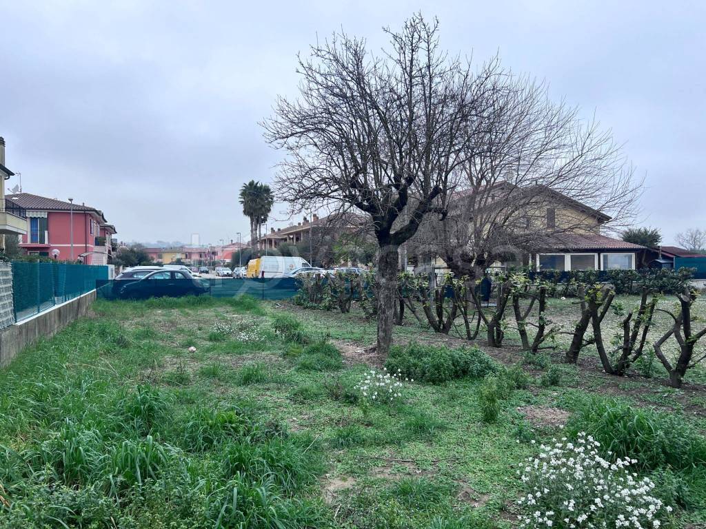 immagine annuncio 4 di 6