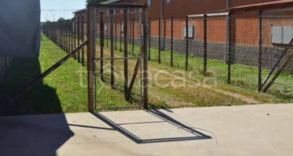 immagine annuncio 1 di 9