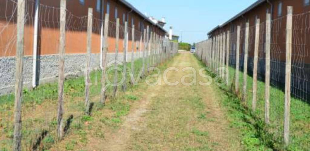 immagine annuncio 2 di 9