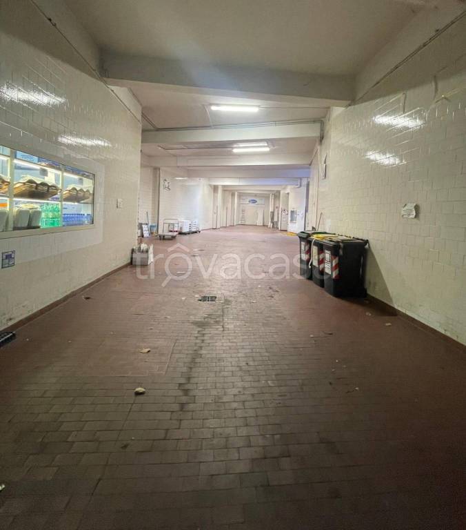 immagine annuncio 3 di 8