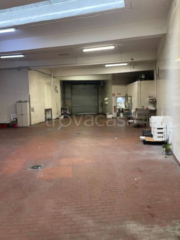 immagine annuncio 5 di 8