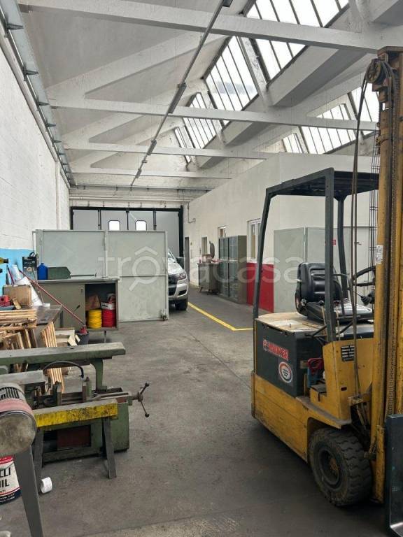 immagine annuncio 9 di 15