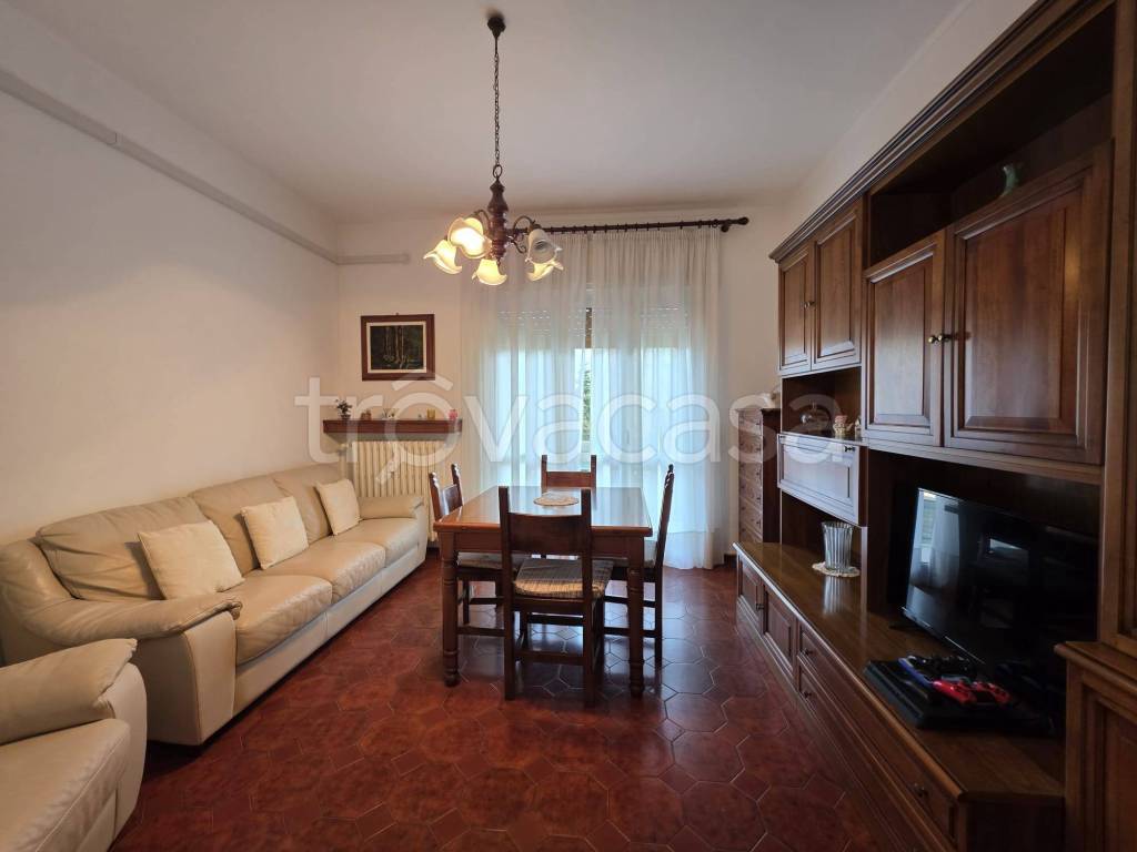 immagine annuncio 2 di 12