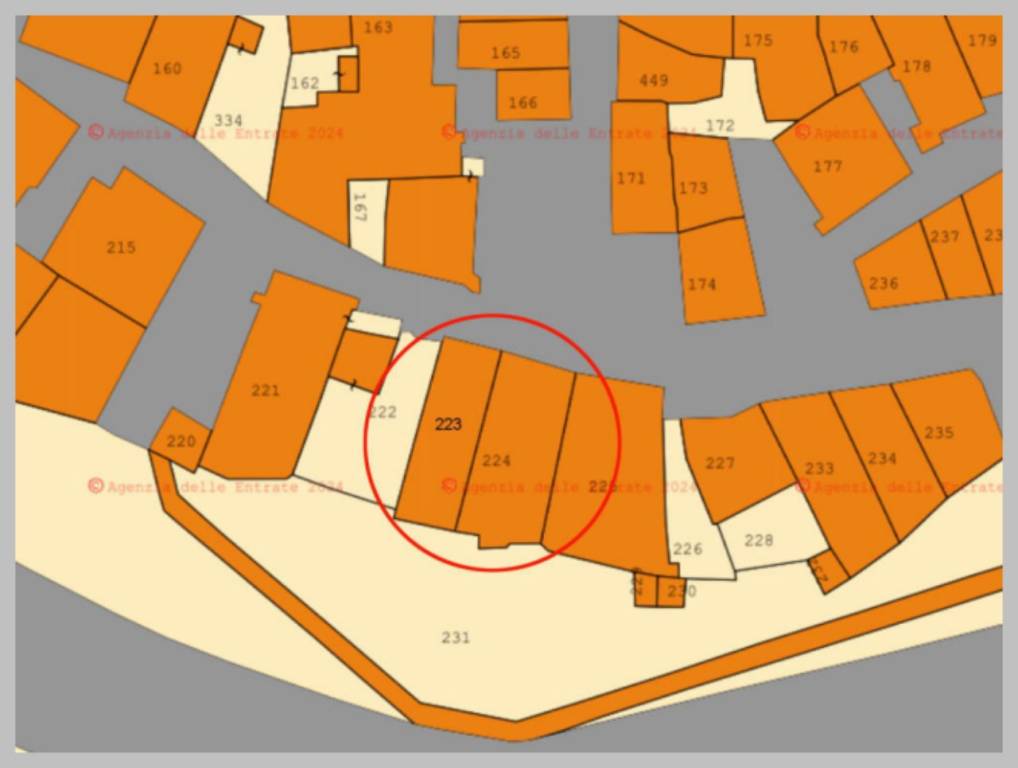 immagine annuncio 12 di 15