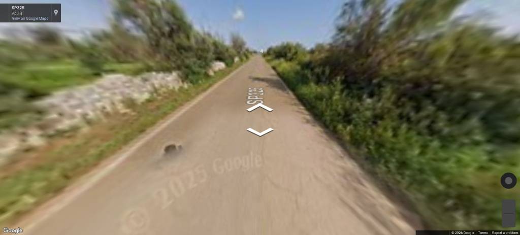 immagine annuncio 7 di 11