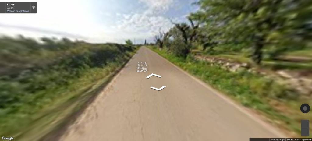 immagine annuncio 8 di 11