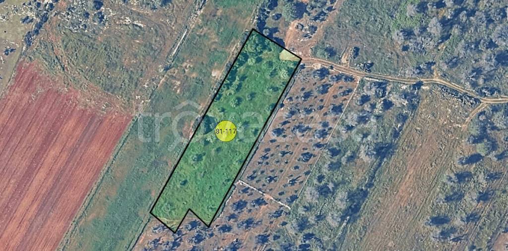 immagine annuncio 10 di 11