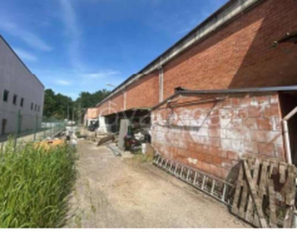 immagine annuncio 9 di 10