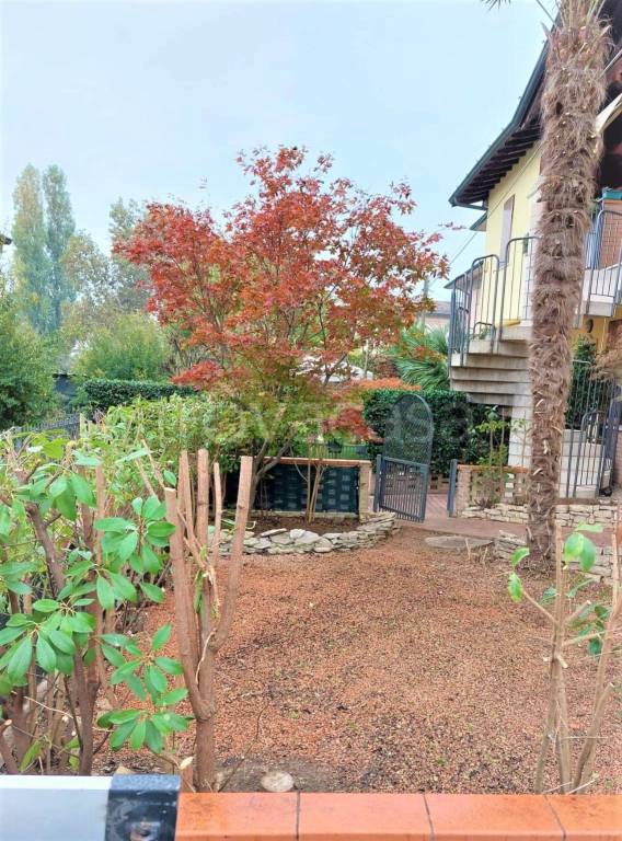 immagine annuncio 3 di 14