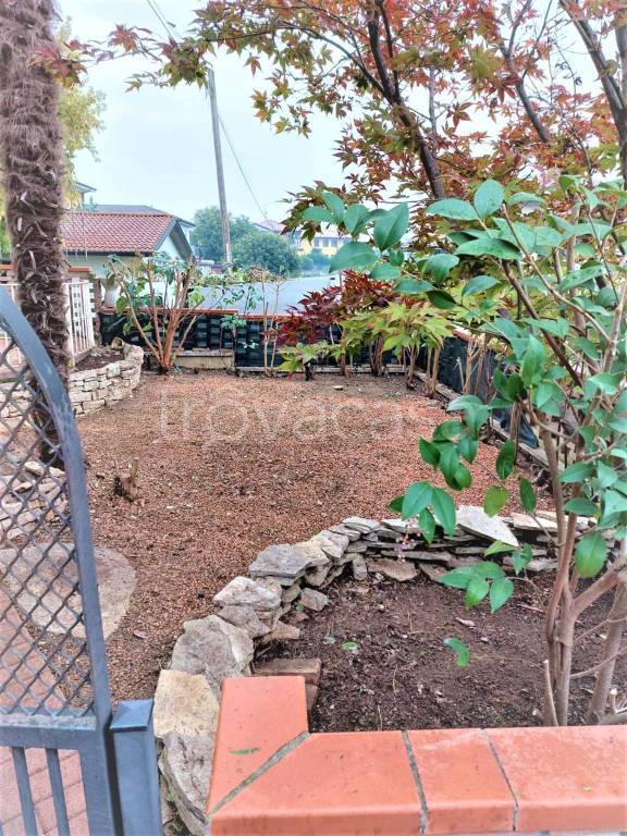 immagine annuncio 5 di 14