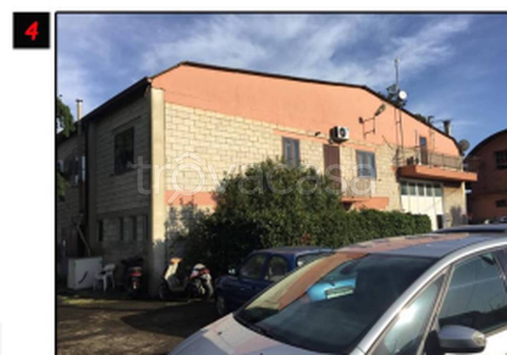 immagine annuncio 3 di 11