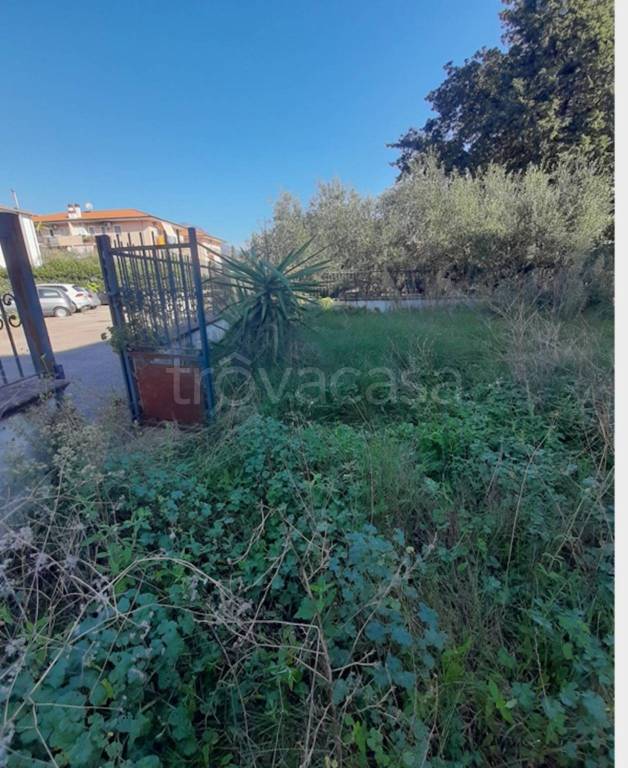 immagine annuncio 8 di 11