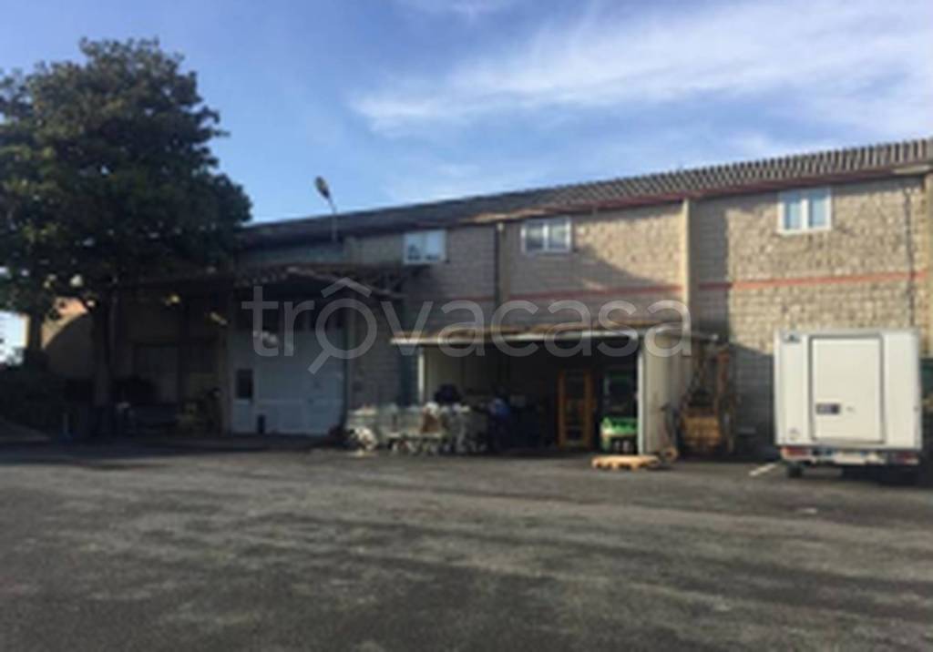 immagine annuncio 8 di 11